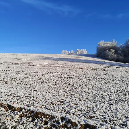 Schrauts Unwesen Lägenhet *