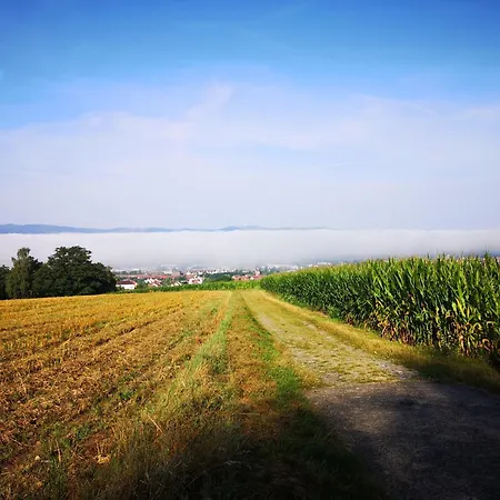 Schrauts Unwesen شقة بيبرا