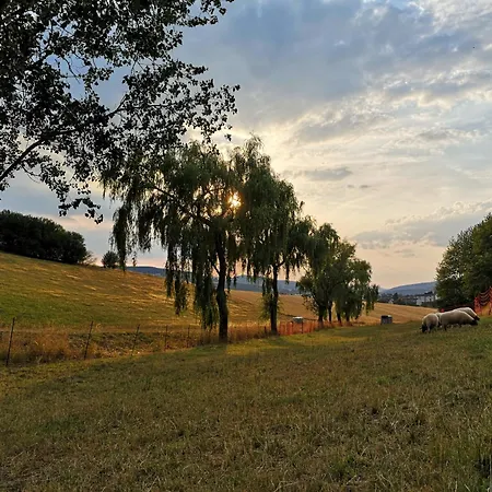 شقة Schrauts Unwesen بيبرا