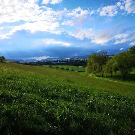 شقة Schrauts Unwesen *