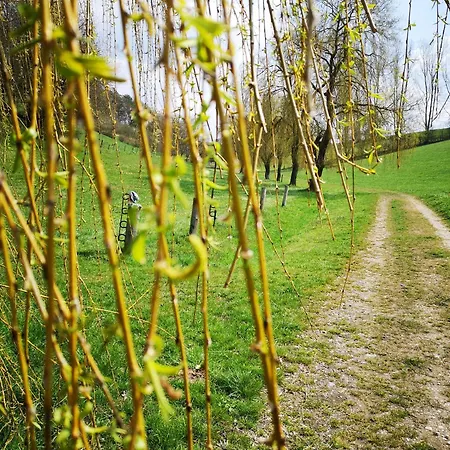 Schrauts Unwesen شقة بيبرا