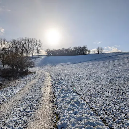 Schrauts Unwesen Lägenhet