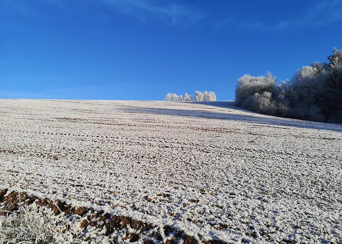 Schrauts Unwesen Lägenhet *