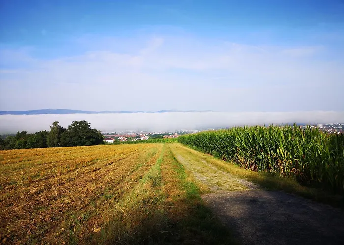 Schrauts Unwesen Apartament Bebra