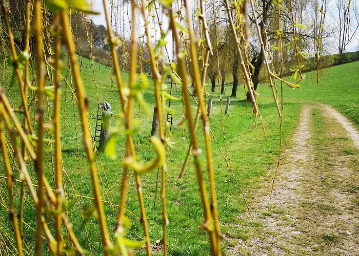 Schrauts Unwesen Apartament Bebra