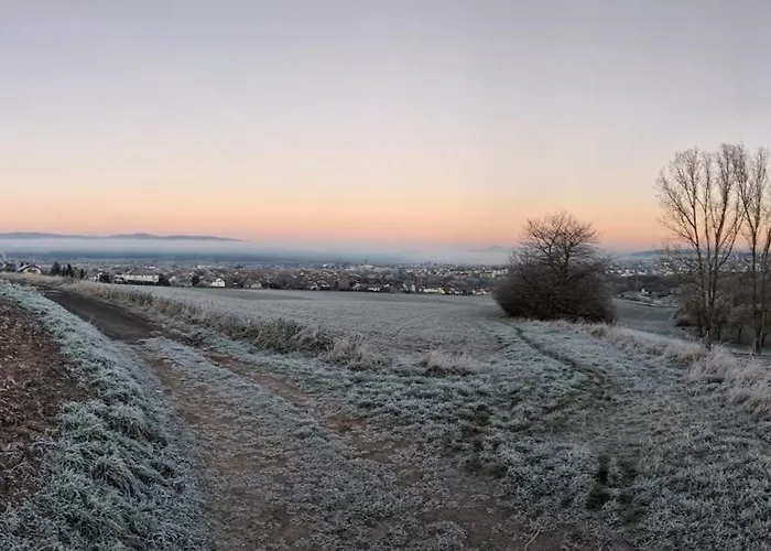 Schrauts Unwesen Lägenhet *